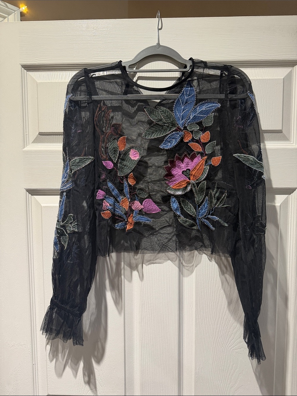 Black Sheer Embroidered Floral Long-Sleeve Crop Blouse